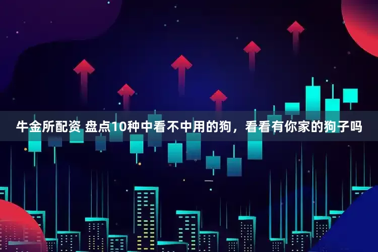 牛金所配资 盘点10种中看不中用的狗，看看有你家的狗子吗