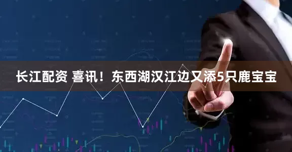 长江配资 喜讯！东西湖汉江边又添5只鹿宝宝