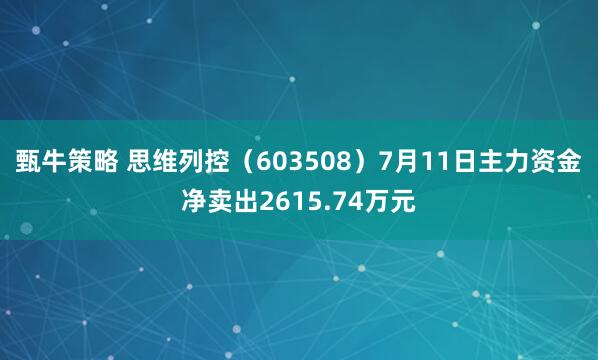 甄牛策略 思维列控（603508）7月11日主力资金净卖出2615.74万元